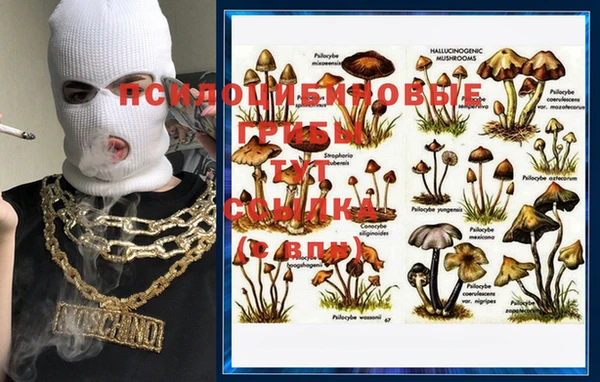 гашиш Кукмор
