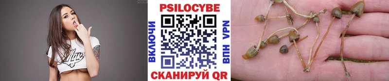 Галлюциногенные грибы GOLDEN TEACHER  Йошкар-Ола 
