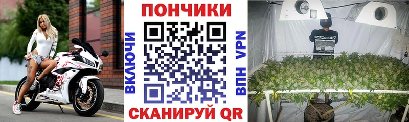 Шишки марихуана сатива  mega ONION  Йошкар-Ола  как найти  